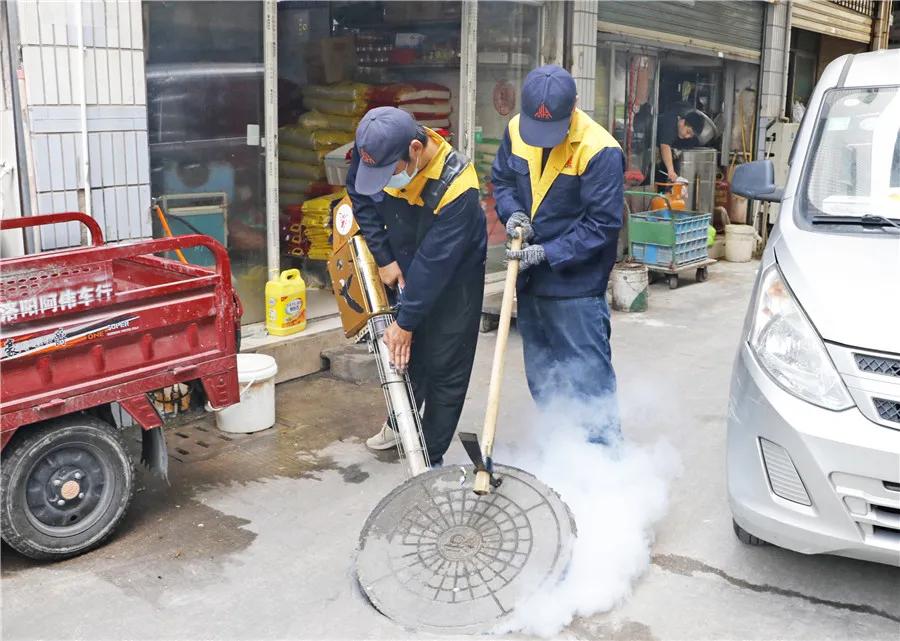 除四害消杀行动,开展秋季爱国卫生运动消杀四害