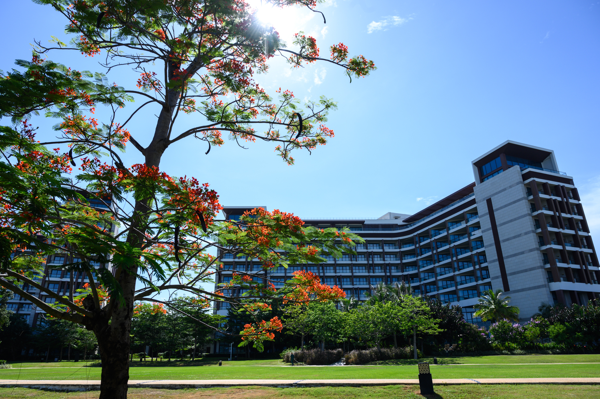 三亚索菲特度假酒店,三亚索菲特酒店攻略