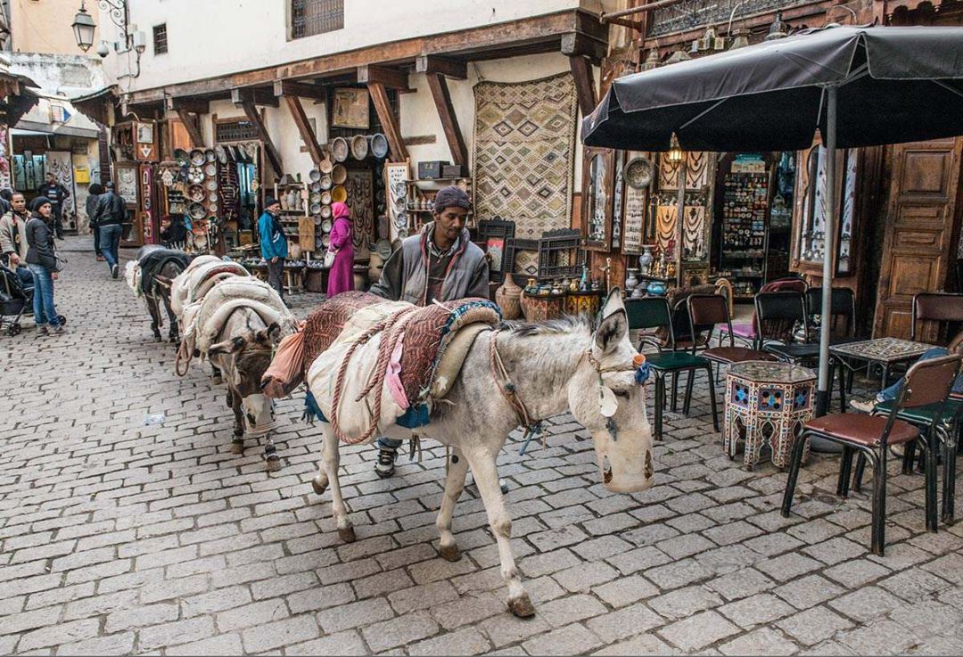 五彩卓尼自驾游攻略,摩洛哥旅游攻略大全