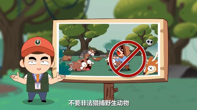 拯救野生动物和保护环境的重要性,我们该怎么保护环境保护动物