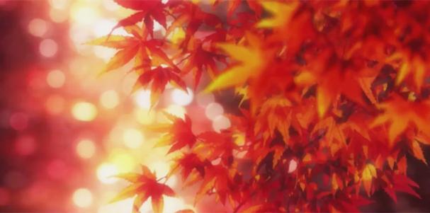 榻榻米玩法视频教程,榻榻米的顶级玩法