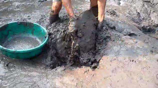 甲鱼如何抓捕,甲鱼难捕不