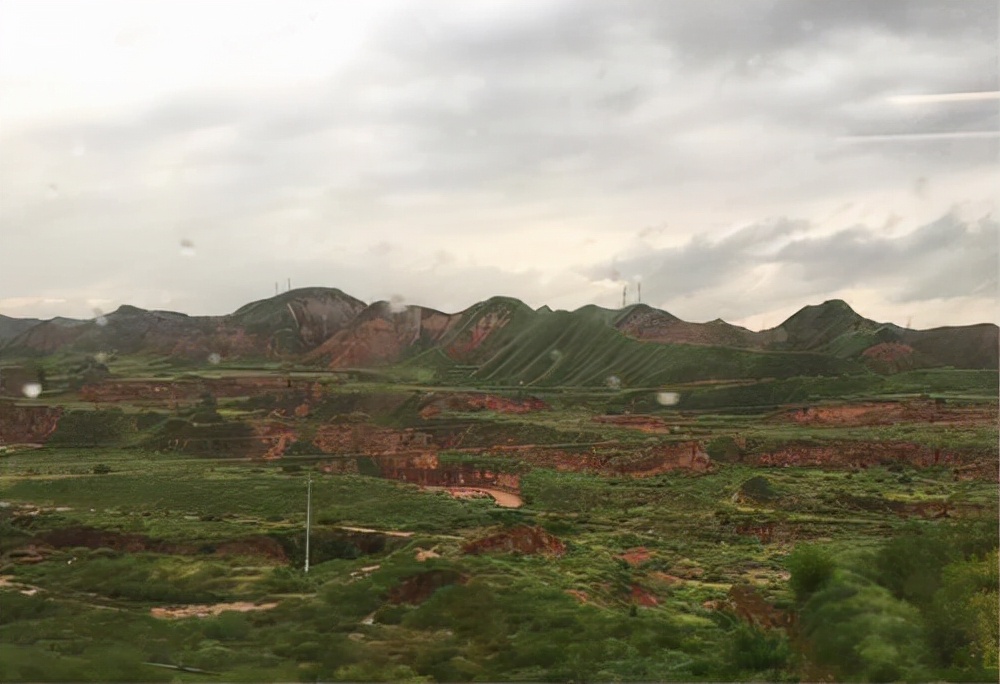 神秘老外带两只老鼠,神秘老外带两只老鼠出国