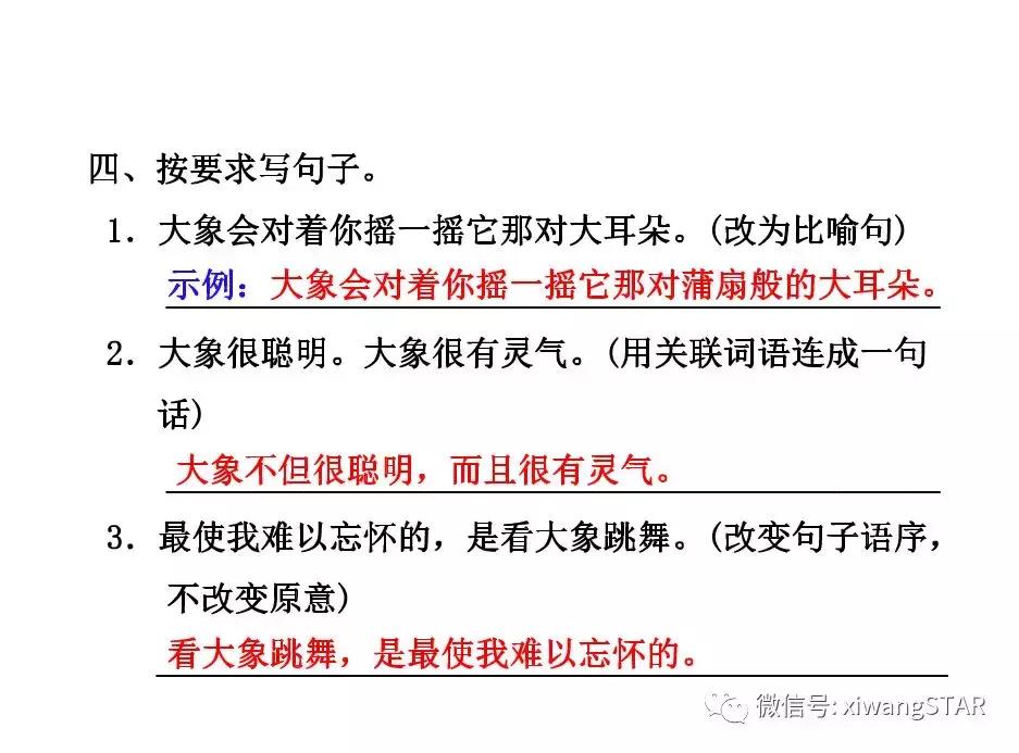 与象共舞语文五年级下册老版,五年级下册与象共舞阅读