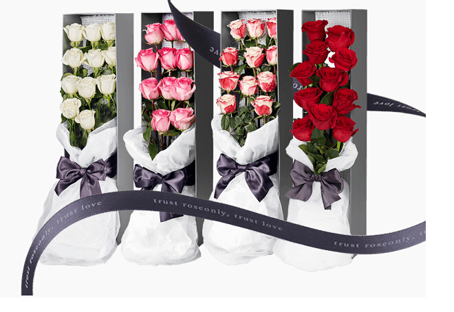 微光玫瑰的花语,玫瑰报春花花语