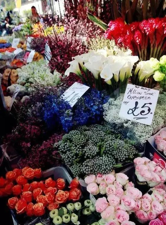 亚洲最大花市宛如仙境,中国最牛的花市