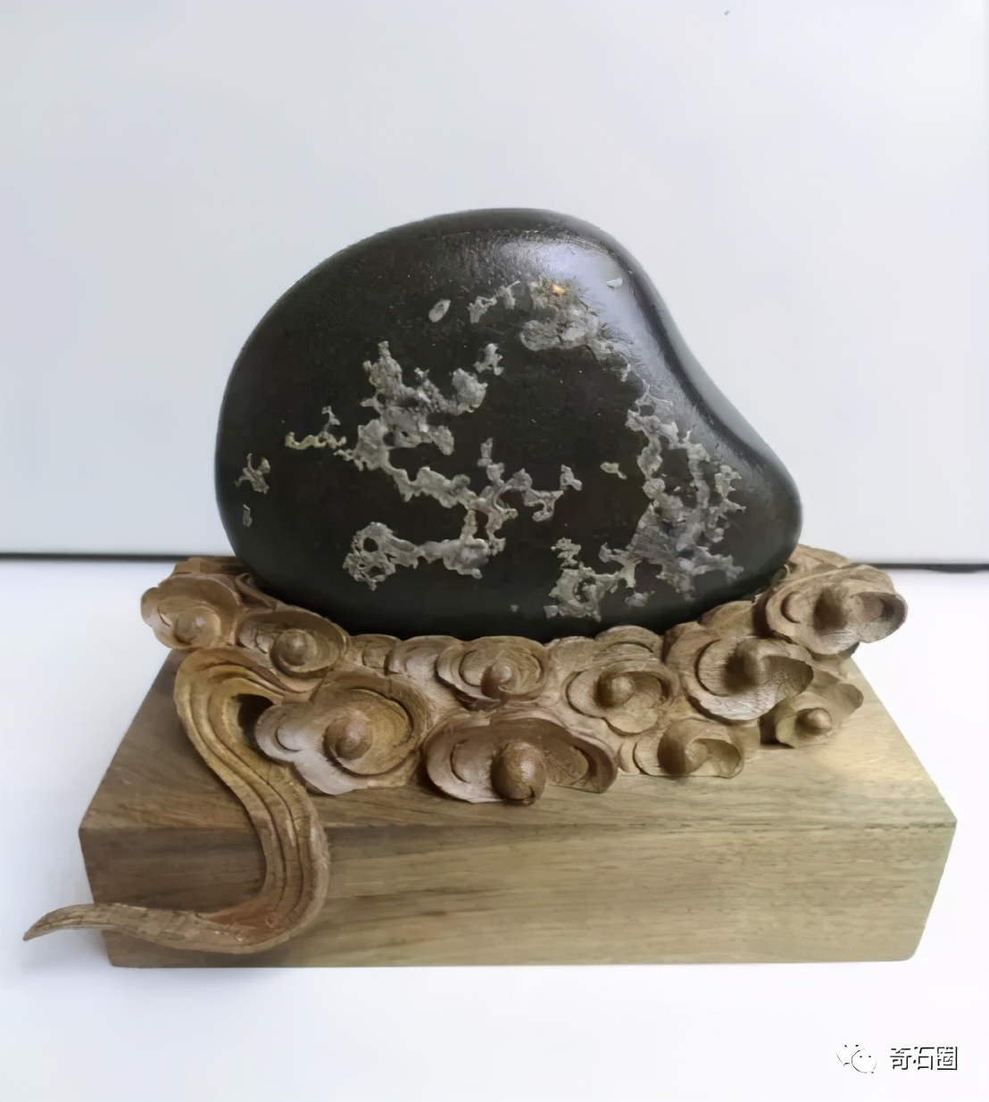 “一见倾心的石头”入围作品展播