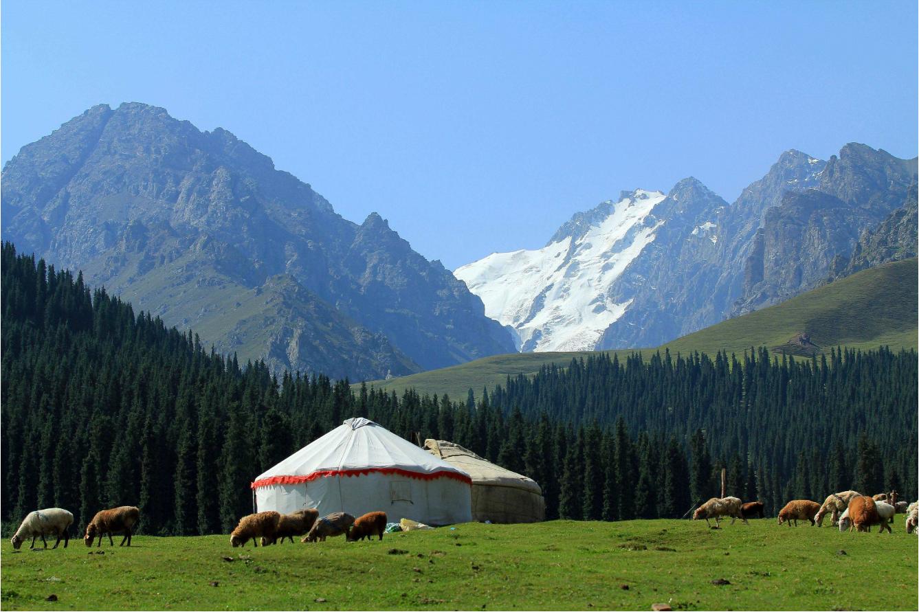 新疆沙湾美食合集,新疆沙湾特色美食推荐