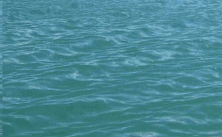 玛雅末日预言发生了什么,玛雅预言2012