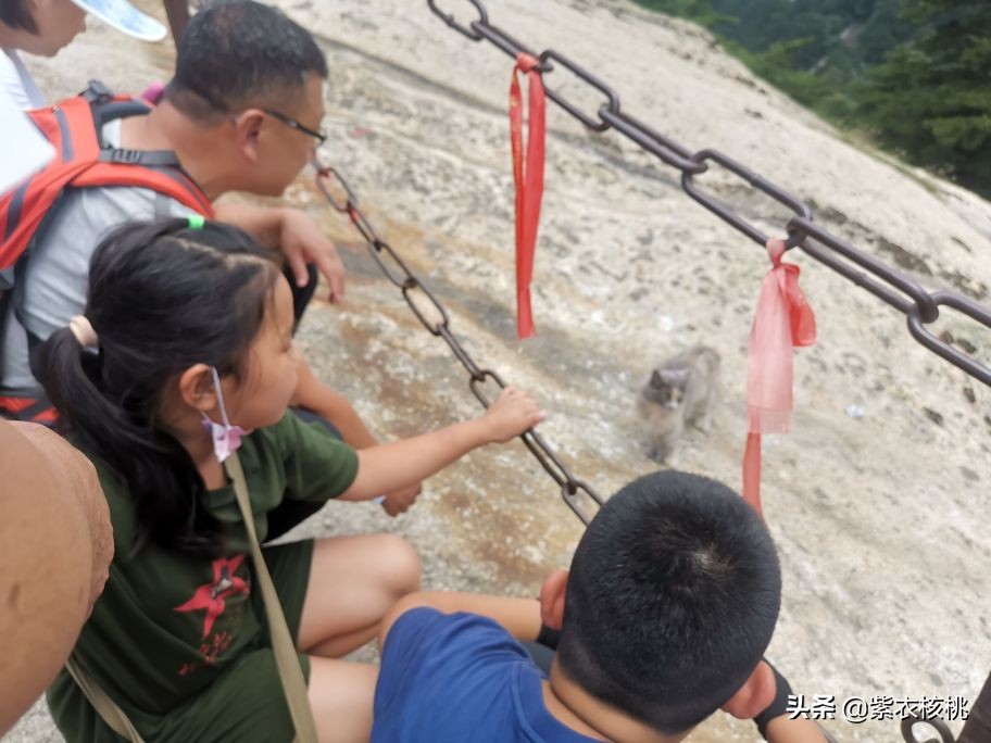 西安到华山自驾旅游攻略,西安有什么旅游景点华山