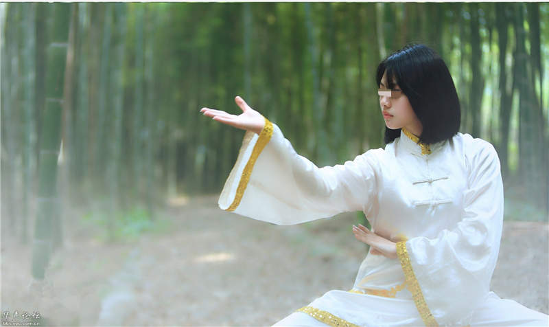 此球饱含太极元素，2000万人在玩，网友：什么球？如此神秘