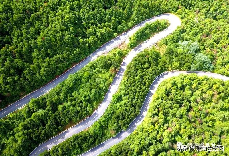 我叫成县，这是我2019年的自拍照