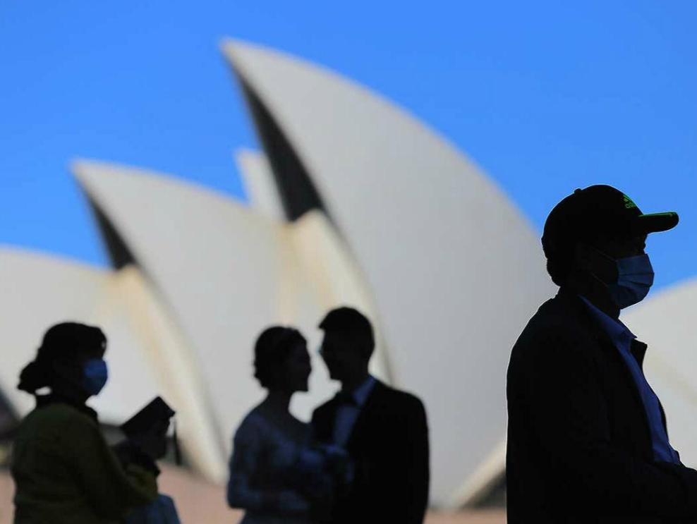 反制轮到澳洲葡萄了？澳农产品组织抱怨，在中国港口遭遇清关难题