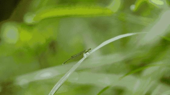 一家四口倾家荡产在山里造房隐居：3年零收入，坚持不通车