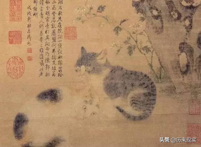 人类漫长的历史上,喵星人虽然受过冤屈*害迫**,但宠爱总多上几分