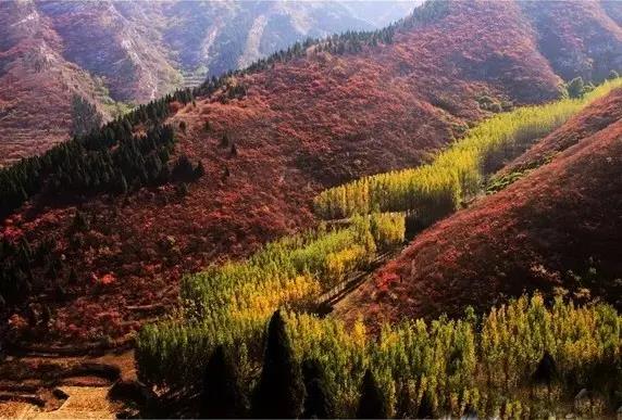 博山红叶谷门票优惠活动,博山十大免费红叶谷