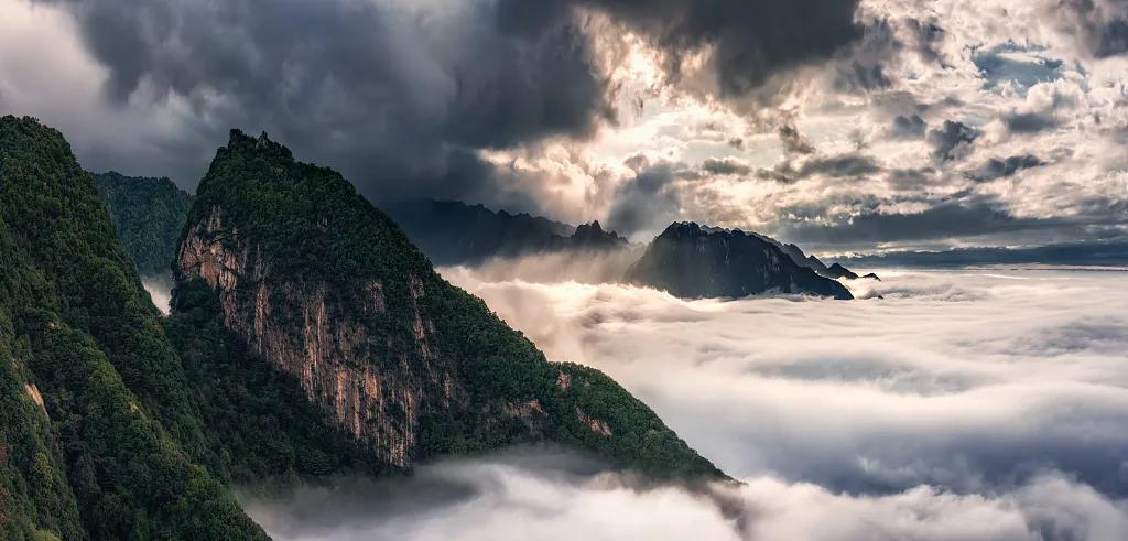 让客来时，所见一山碧绿，万物竞发