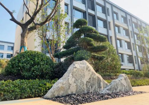 实探合肥碧桂园中堂,实探合肥