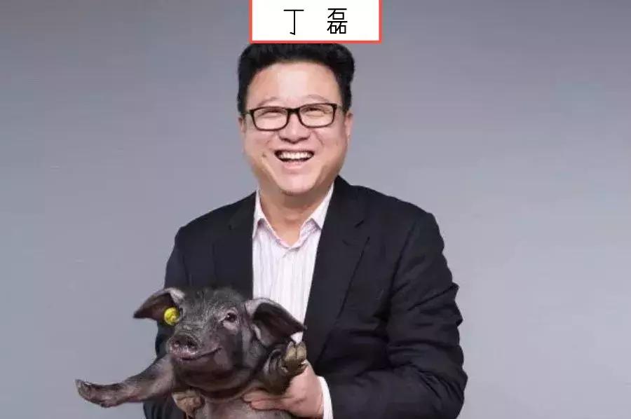 中国最有钱的人是谁丁磊,最厉害的三个丁磊