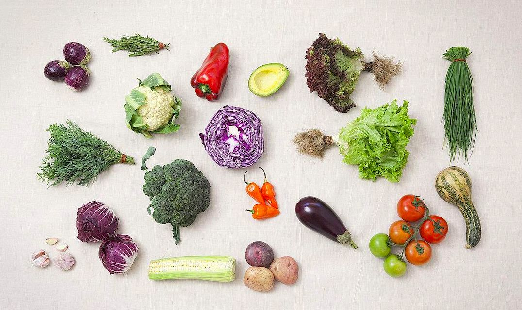 食材的故事,食材的故事500个