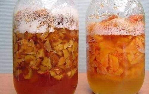 吃完桔子柚子皮皱巴巴，发酵成肥埋盆里，枝条窜出盆变成绿瀑布