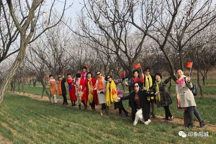 晋城哪里可以春游,晋城附近春游景点