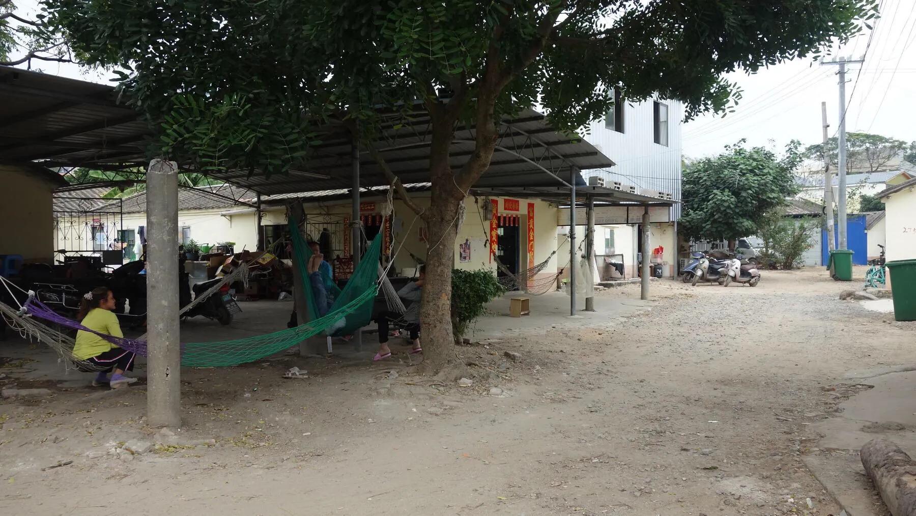 侨港边上的大、小老虎村,房租很低但住的人却很少,如今面临改造