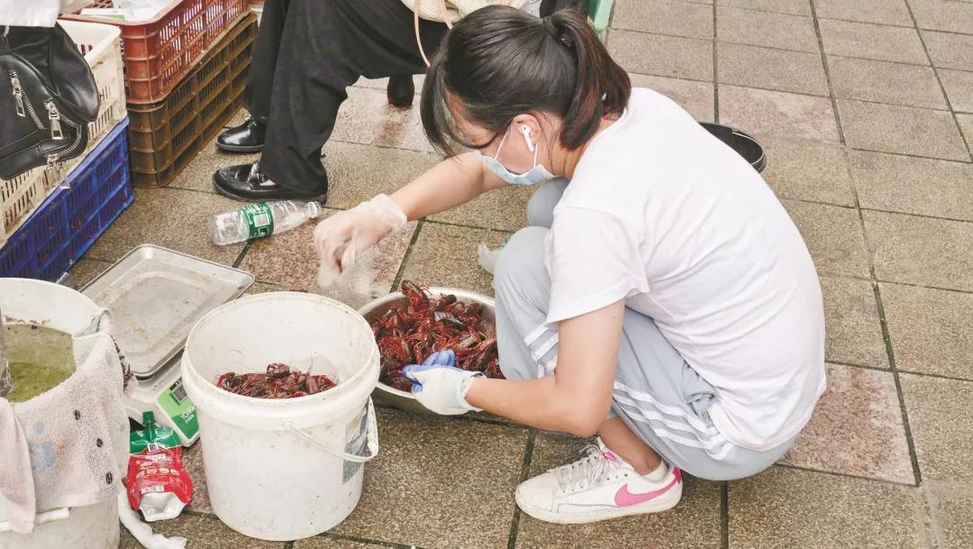 飞来飞去的工作有哪些,飞了飞去的工作