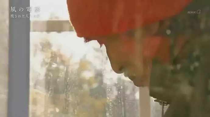 日本高分纪录片免费观看,日本的高分纪录片