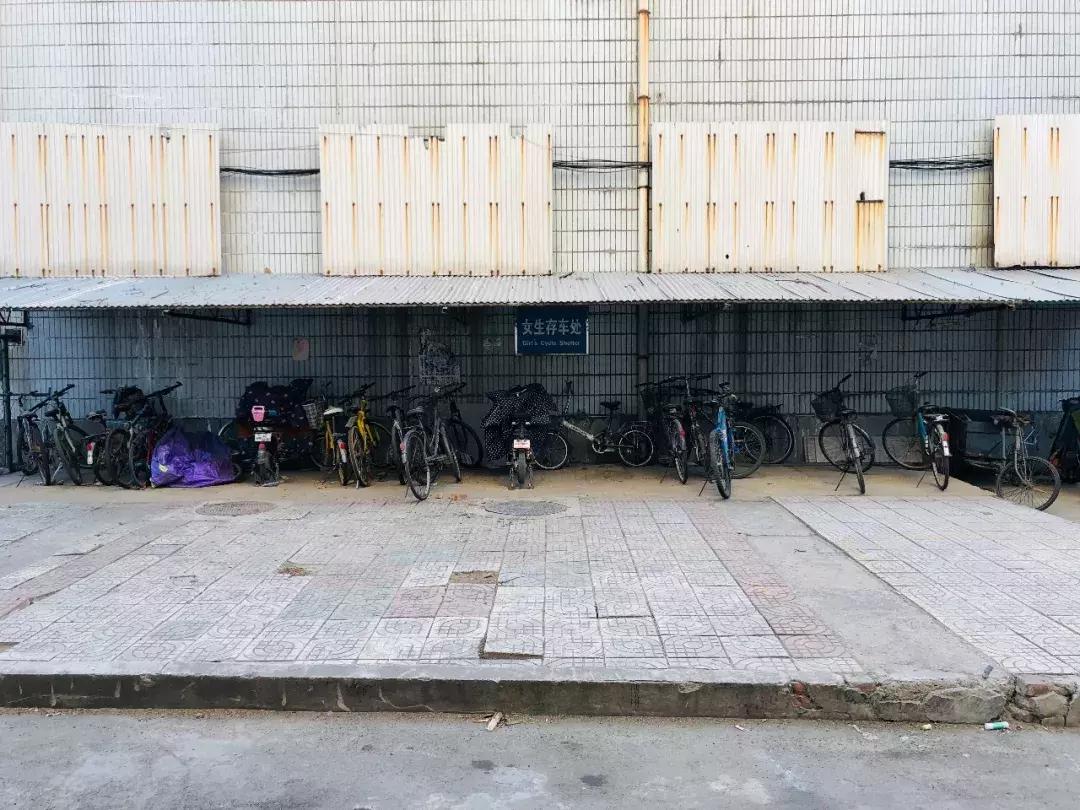 山东科技大学，不再见！