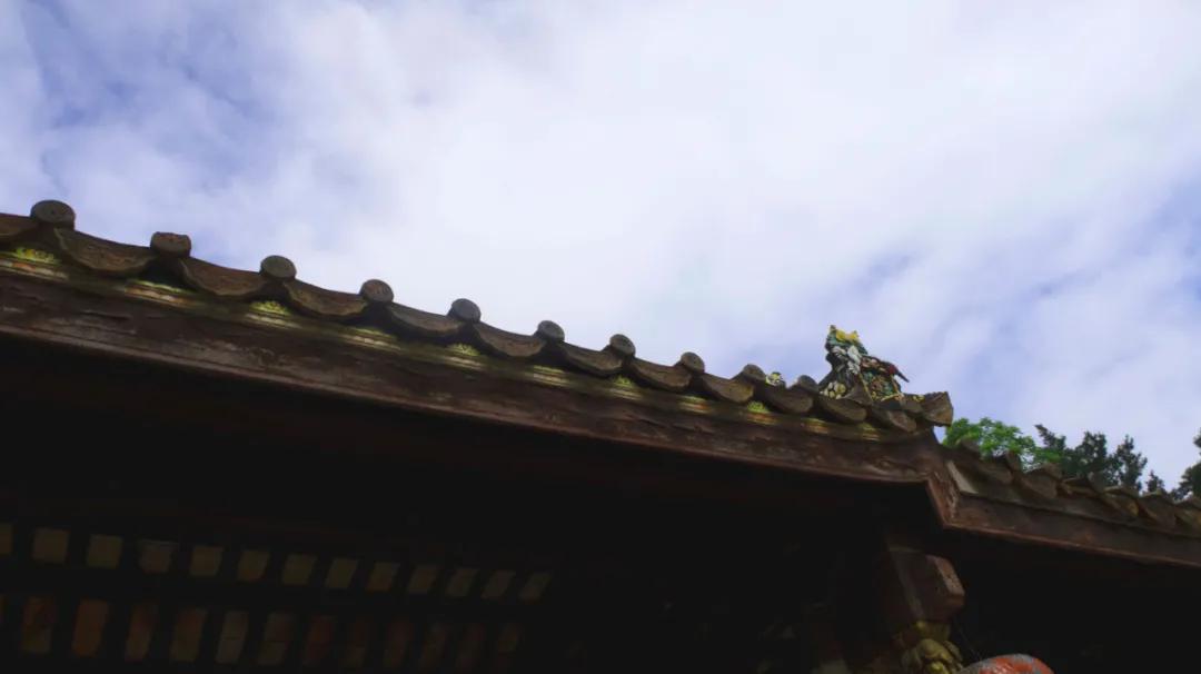 秋天的第一本书《爱如禅你如佛》情僧苏曼殊的红尘游历