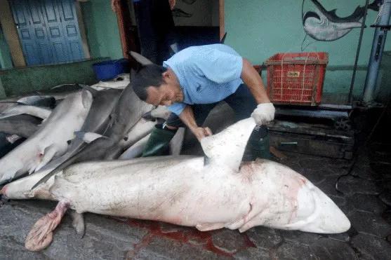 只为一串佛珠,他活剥了我妈的皮:人心有多可怕,你根本想象不到