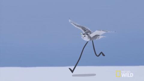 二级建造师考试难度比公务员大吗,二级建造师考试前景分析