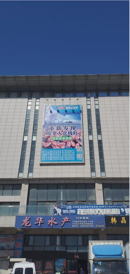 大连白虾批发市场,大连辽渔国际水产品市场北极虾