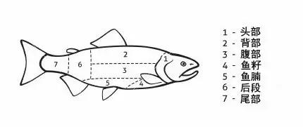 三文鱼应该怎么吃才是正确的,三文鱼怎么做给三岁宝吃