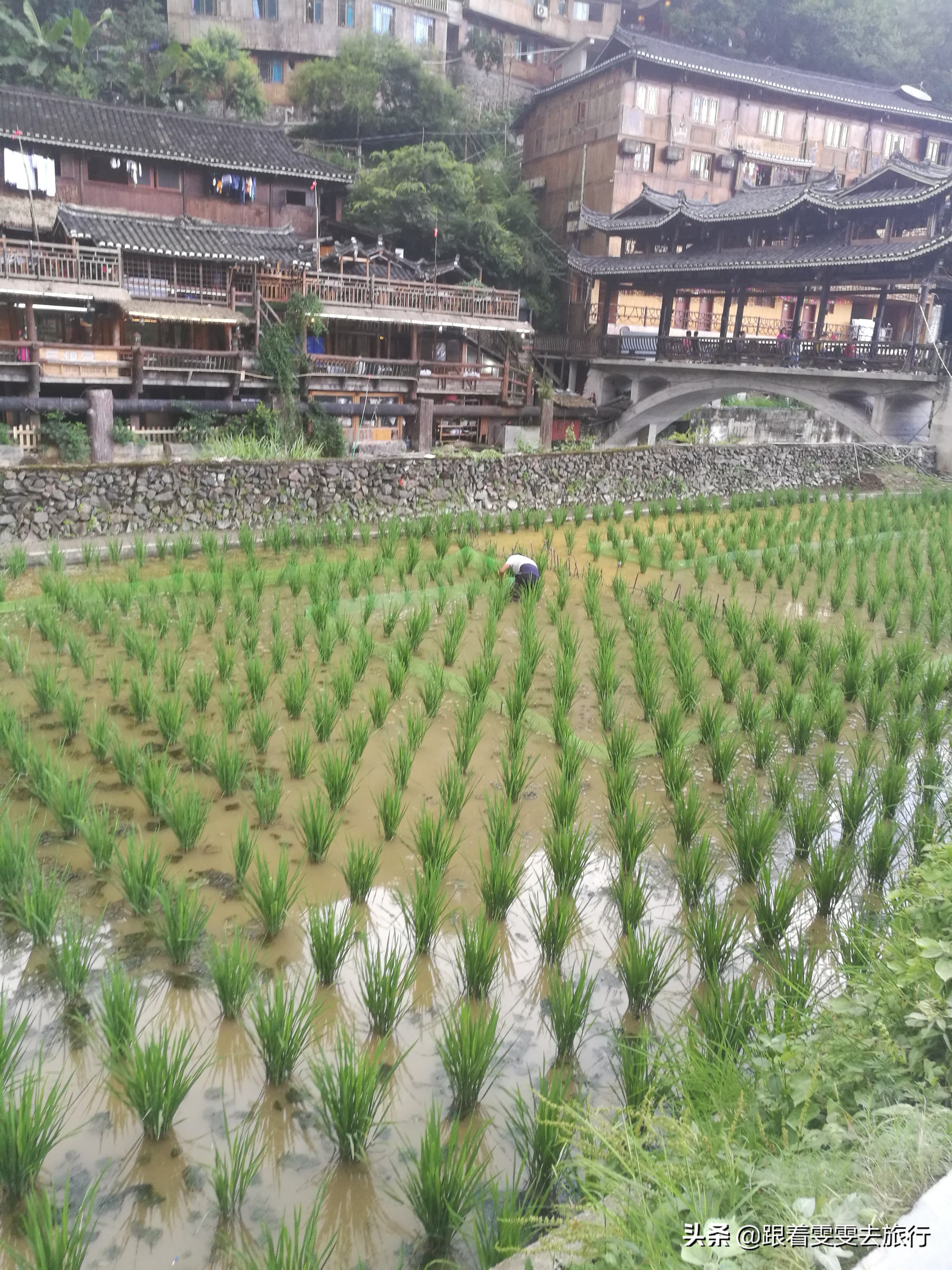 西江千户苗寨游记300字,七彩贵州之西江千户苗寨