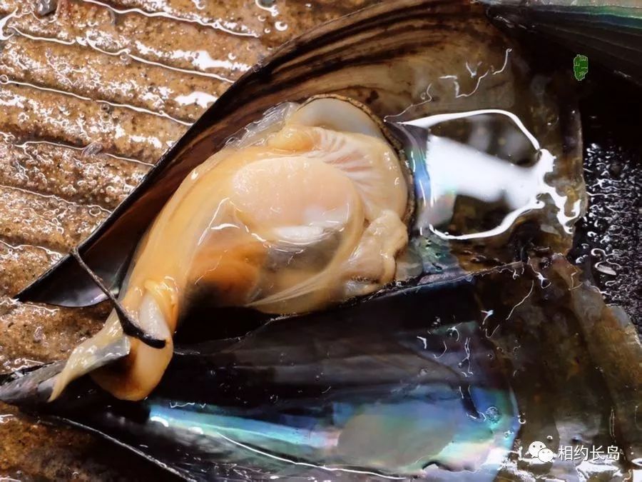 闀垮矝缃戠孩娴烽矞,闀垮矝娴烽矞澶ч鍥剧墖