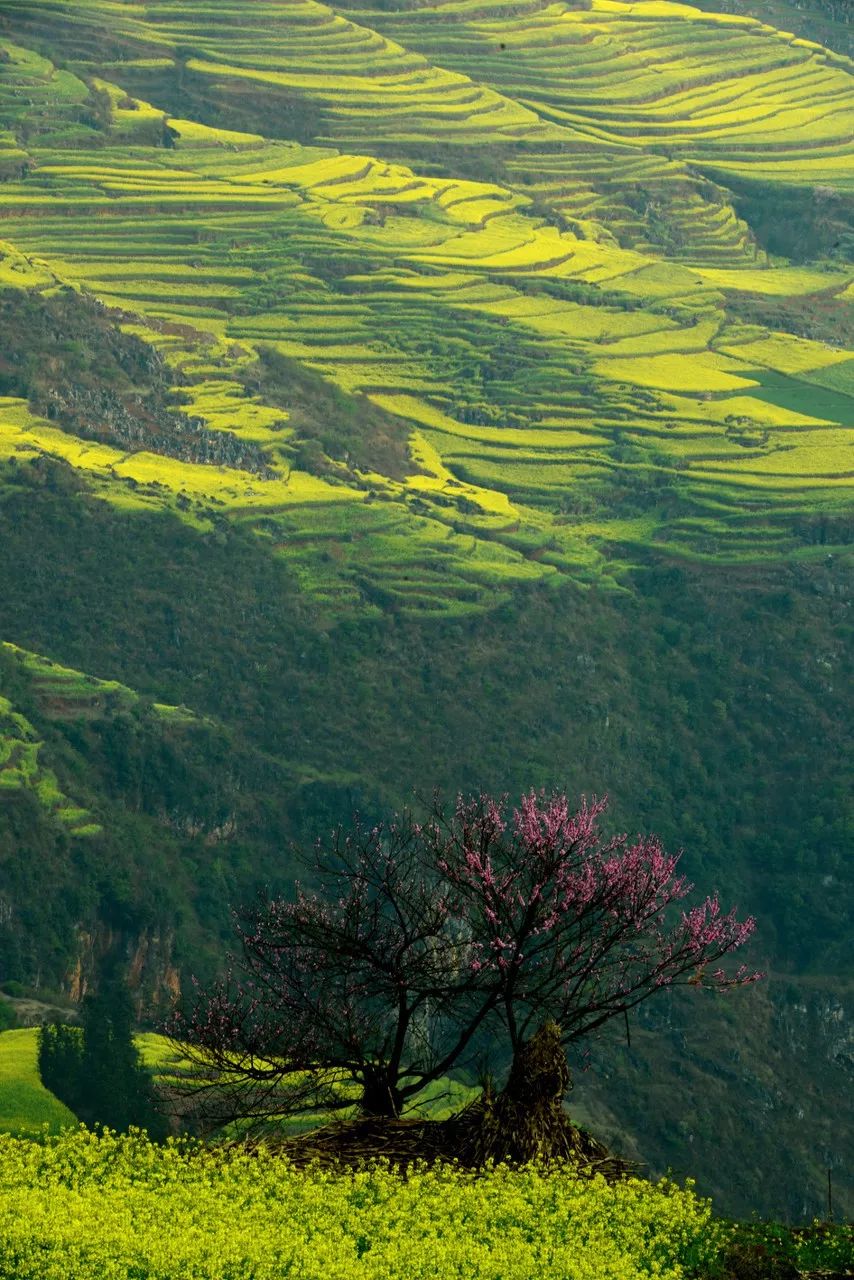 一生去过最美的50个地方,中国最美的十景你去过哪些地方