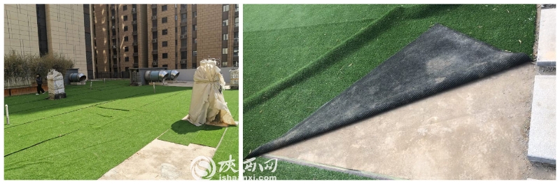 小区绿化作假,绿化造假事件