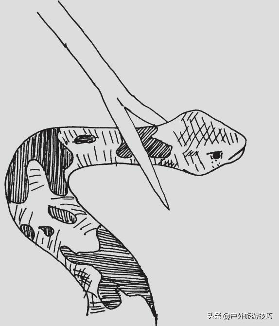 美军野外生存手册,美军野外生存知识大全