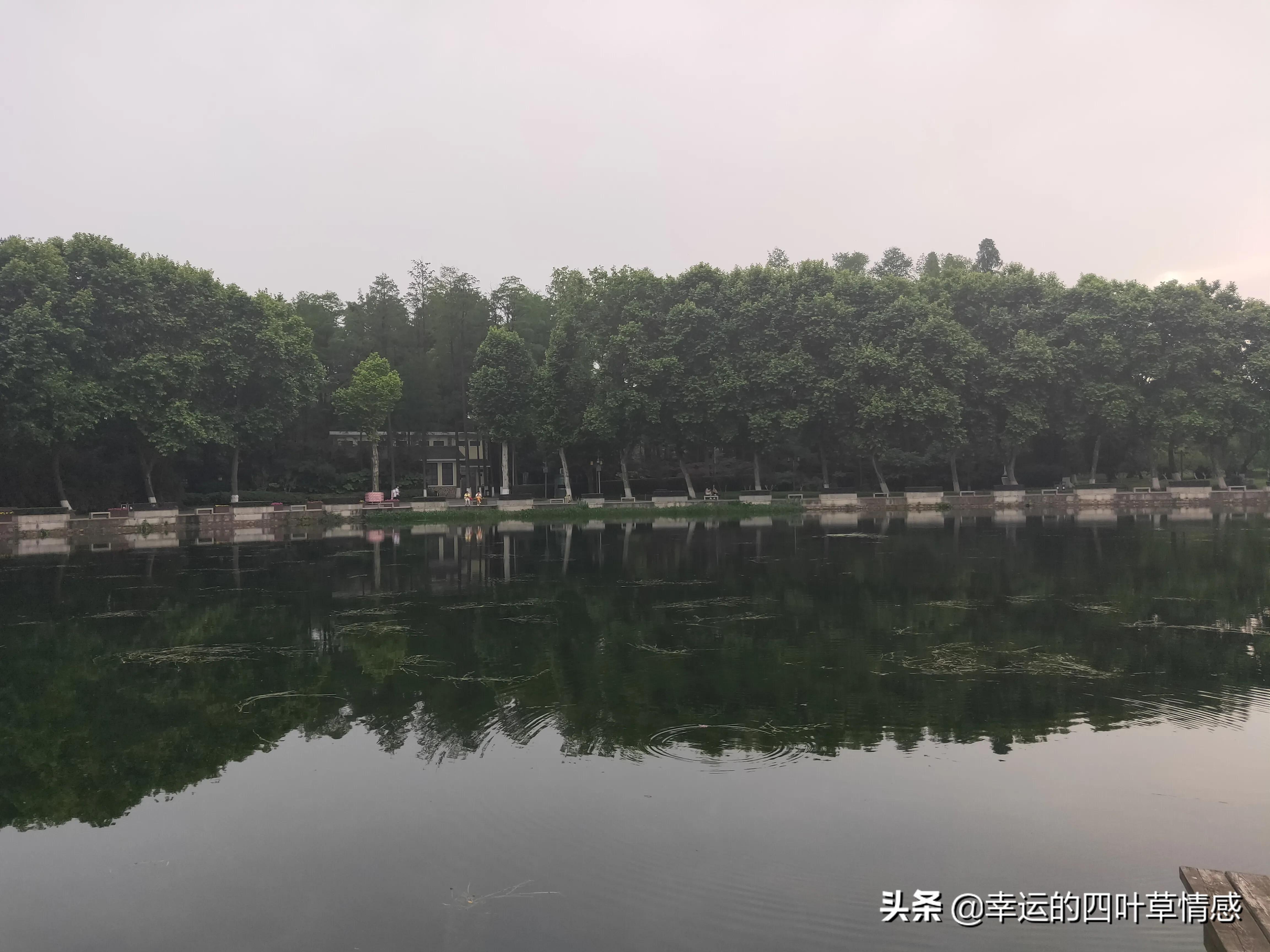 快递没收到却已被签收怎么办,网友买的货没收到