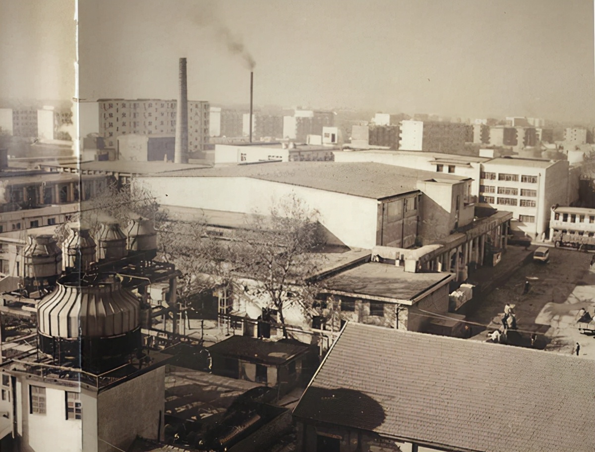 他，大专生，宰猪卖肉坐拥百亿资产，被儿子检举揭发，为啥？