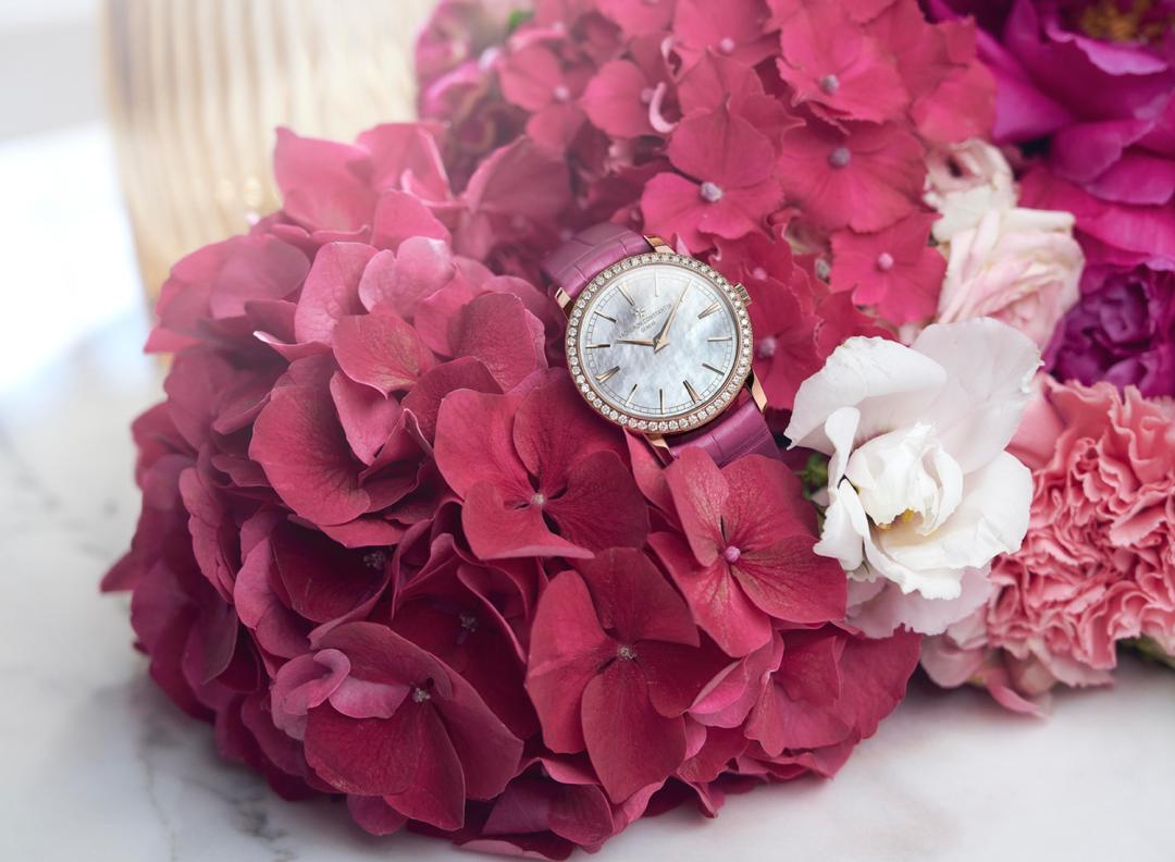 象征尊贵的紫色,属于风华绰约的你