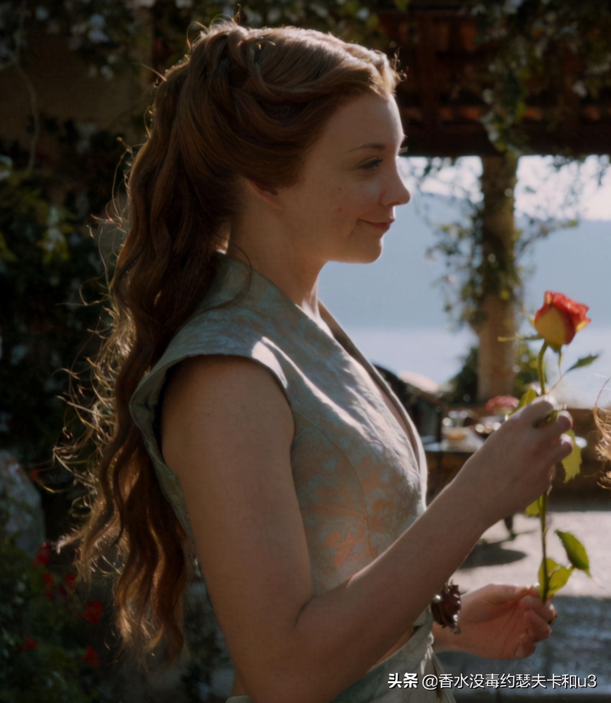 巴宝莉都铎玫瑰好闻吗,巴宝莉都铎玫瑰10和20的区别