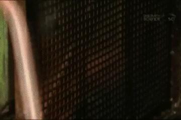 钥匙是怎么插进锁的解剖图,钥匙怎么解开密码锁