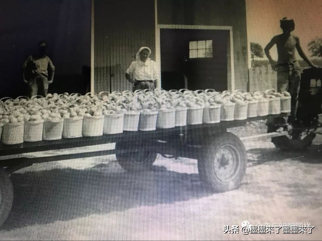 加拿大传统小店,加拿大温哥华特色店