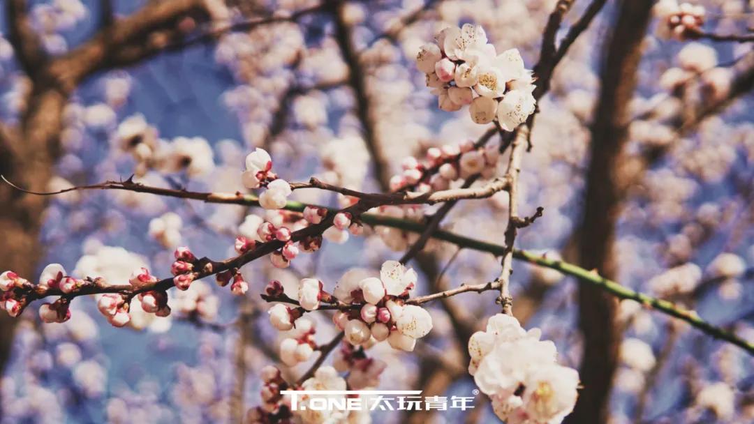 探寻榆次,探寻电子厂