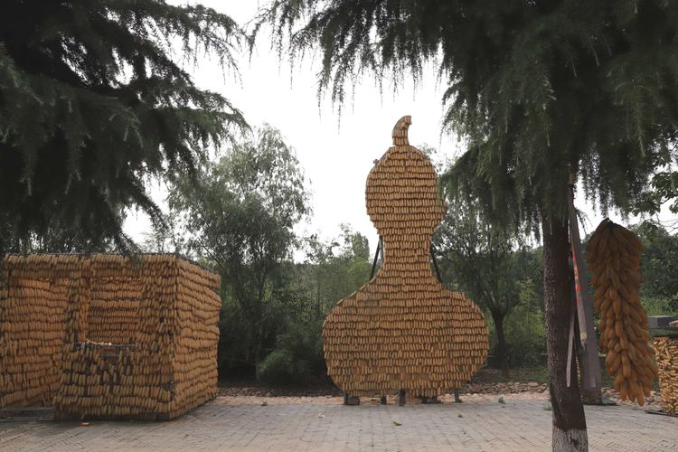 国家级传统村落千年古村,洛阳土古洞村落