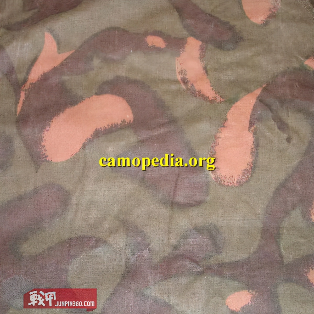 消失的军队有哪些,消失的军团完整版