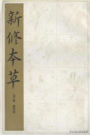 什么是中药概念,什么是中药制药